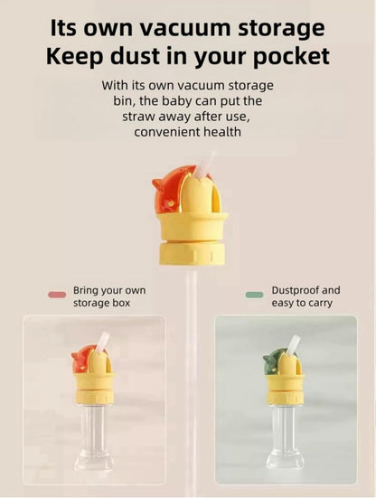 2-in-1 Water Bottle Straw Cap