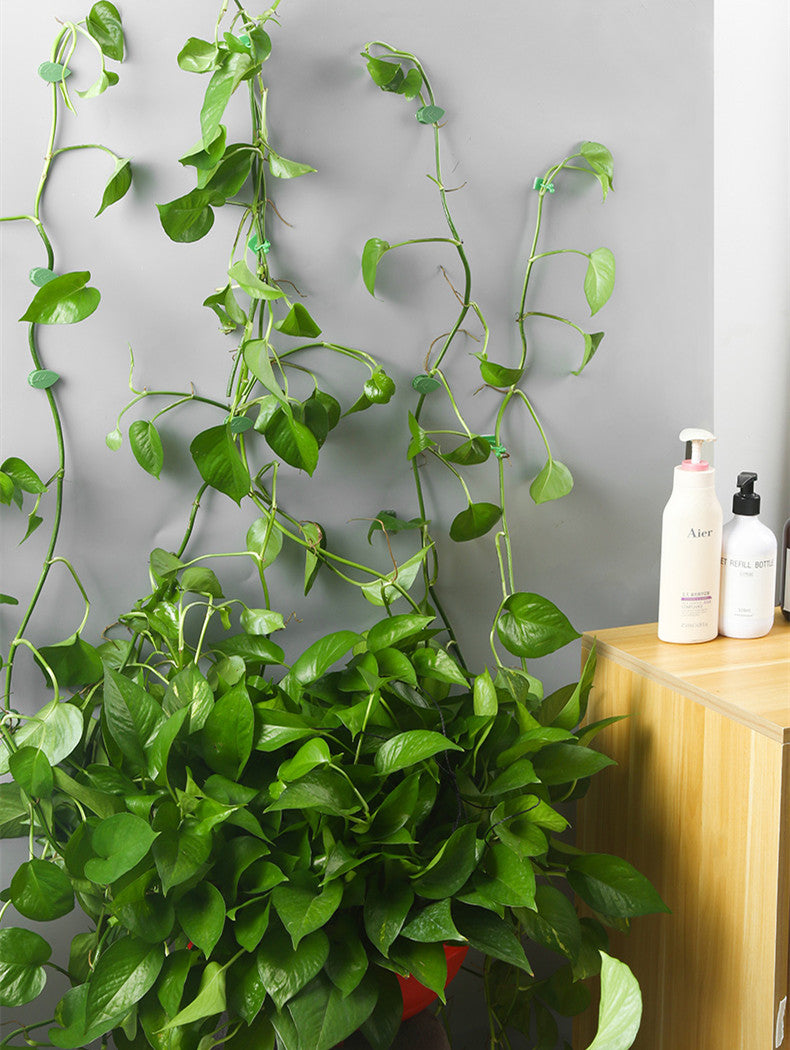 Leaf clips traction holder 10 pieces